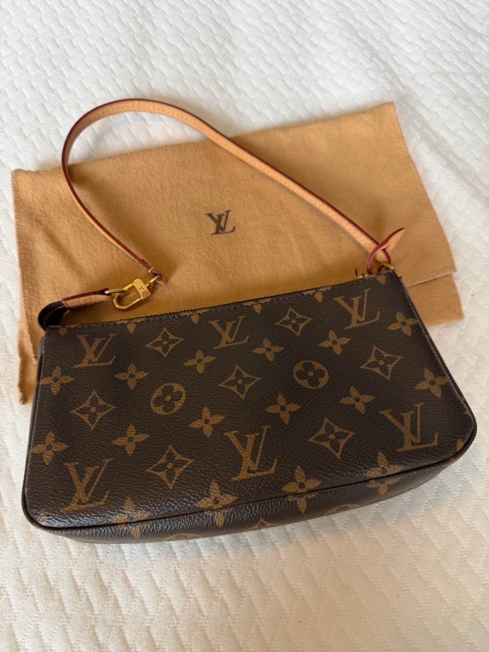 Louis Vuitton Monogram Canvas Mini Pochette in Brown and Tan - Picture 10 of 16